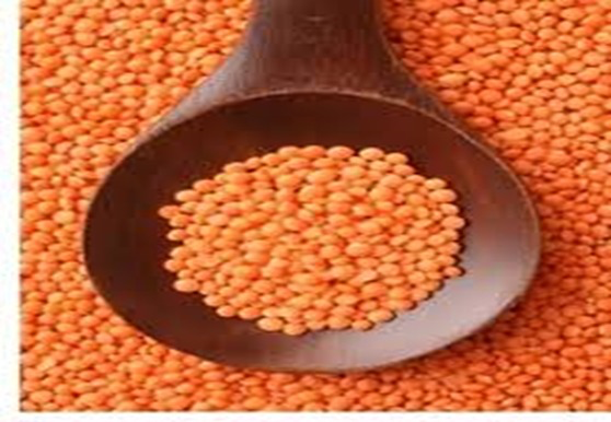 Red Lentil Pulse